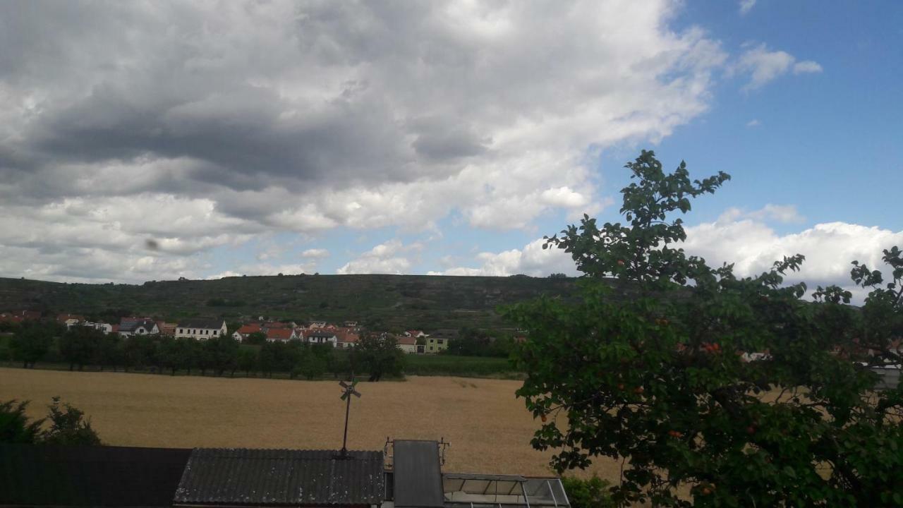 Appartamento Pansion Brda Rohrendorf bei Krems Esterno foto
